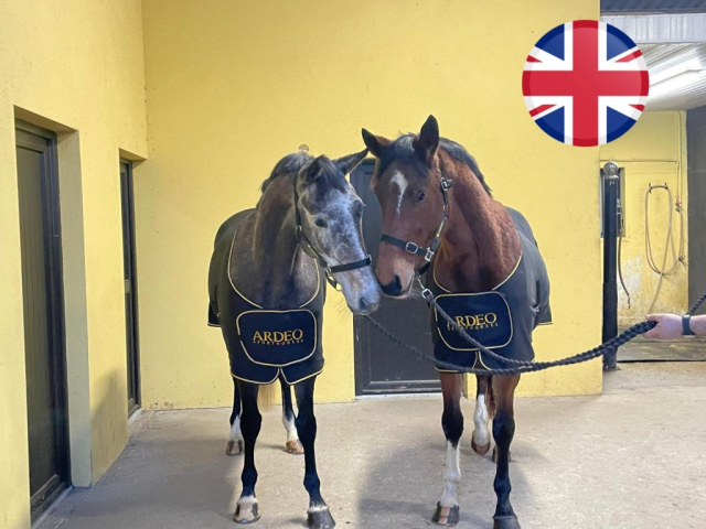 two horses wearing black rugs standing in the barn with yellow walls