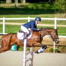 Mondial Du Lion World Championships for Young Horses