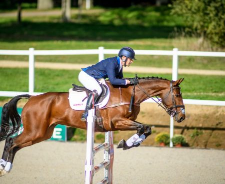 Mondial Du Lion World Championships for Young Horses