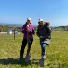 Tree Planting