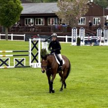 The HSI Studbook Show Jumping Series