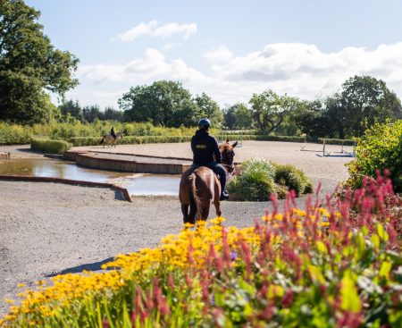 The Busiest Part of Sales Season with New Horses Arriving