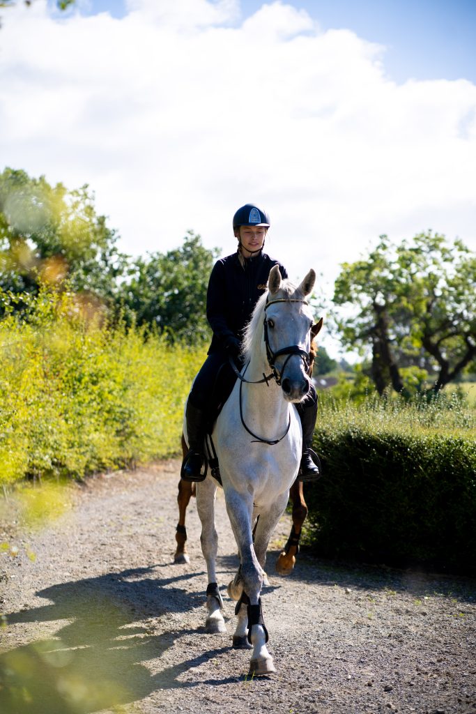 Grey Ardeo Horse with a rider