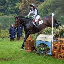 Ardeo Horses at the Blenheim Horse Trials